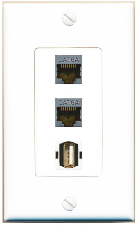 2 CAT6A USB2 Wall Plate [White]