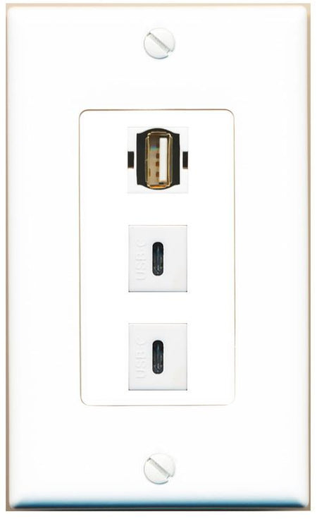 USB2 2 USBC Wall Plate [White]