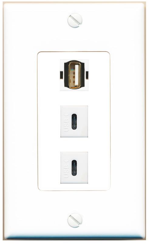 USB2 2 USBC Wall Plate [White]