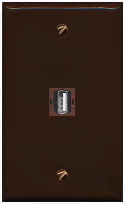 RiteAV -USB2 Wall Plate Flat/Solid [Brown]