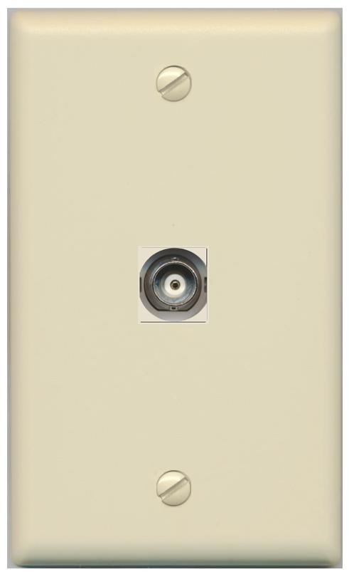 RiteAV -BNC Wall Plate Flat/Solid [Ivory]