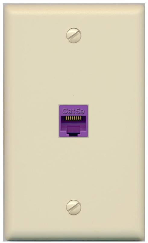 RiteAV -CAT5E-PURPLE Wall Plate Flat/Solid [Ivory]