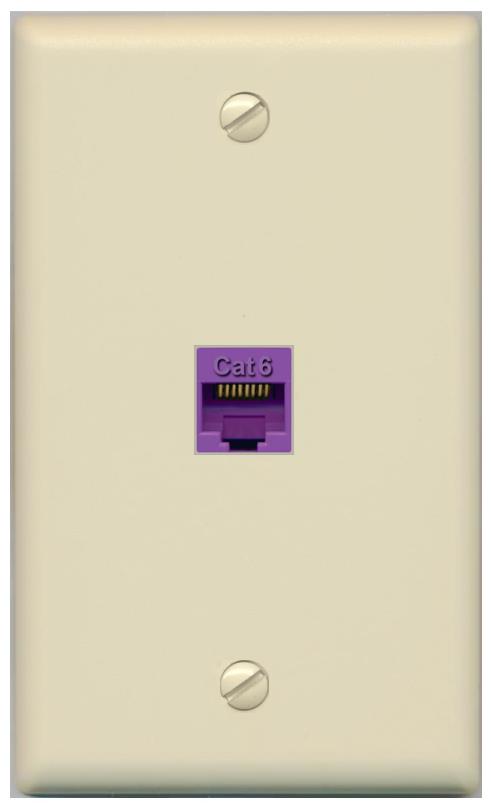 RiteAV -CAT6-PURPLE Wall Plate Flat/Solid [Ivory]