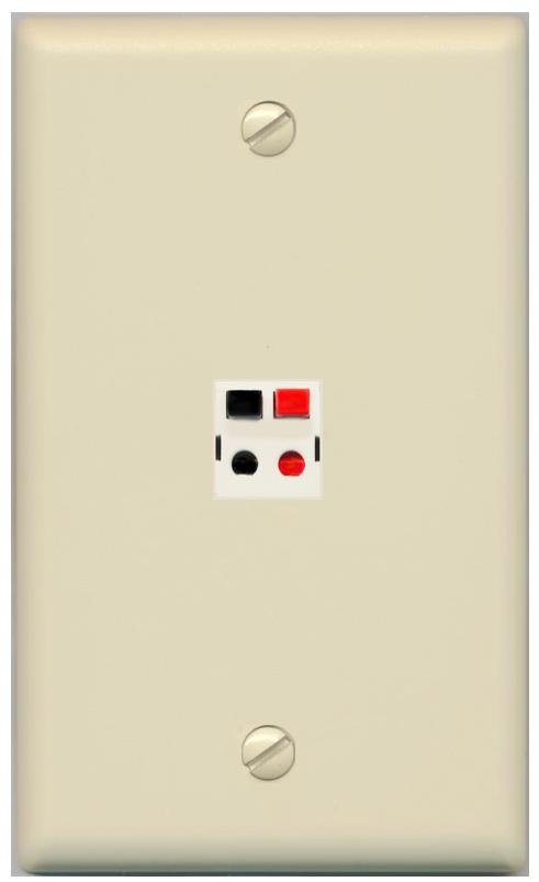 RiteAV -SPEAKER Wall Plate Flat/Solid [Ivory]