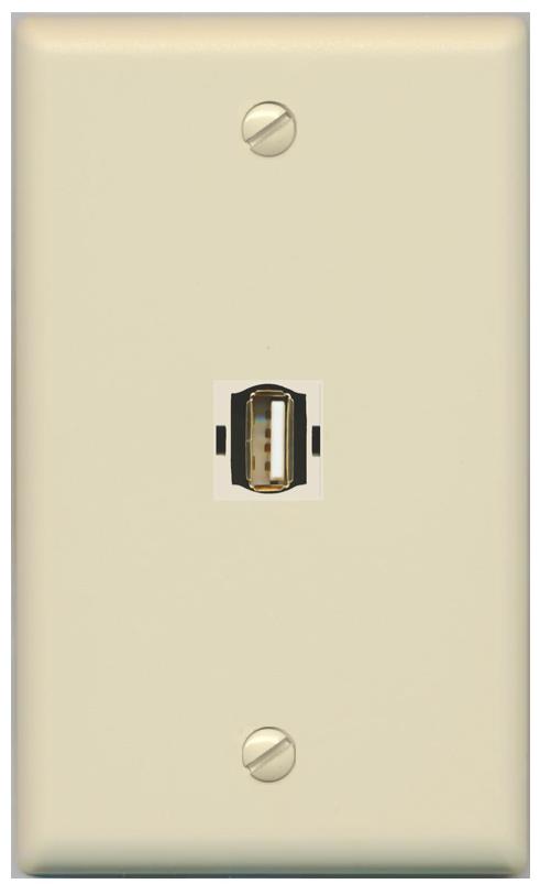 RiteAV -USB2 Wall Plate Flat/Solid [Ivory]