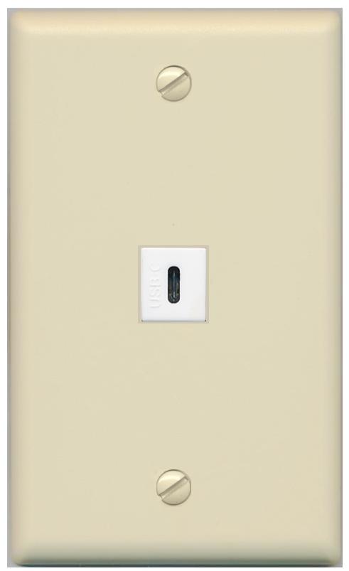 RiteAV -USBC Wall Plate Flat/Solid [Ivory]