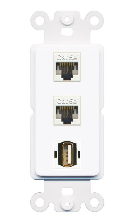 2 CAT5E USB2 Wall Plate [White]