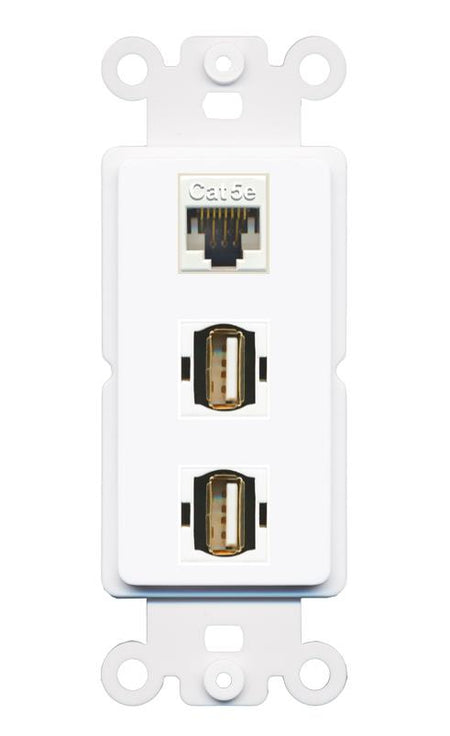 CAT5E 2 USB2 Wall Plate [White]