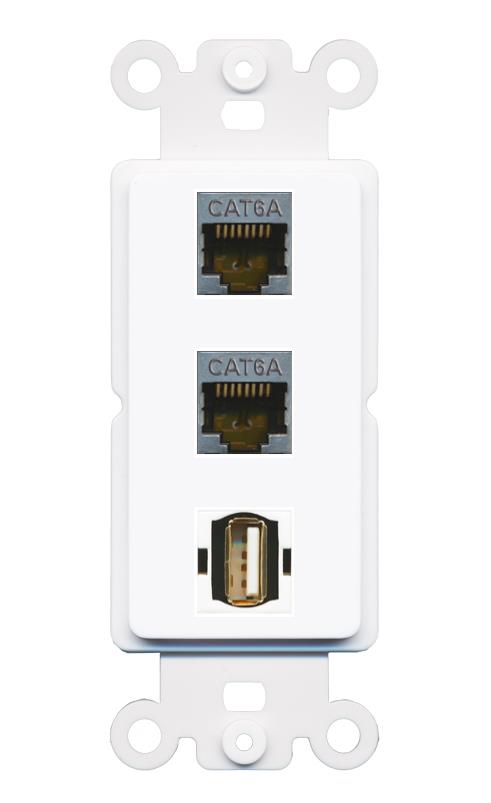 2 CAT6A USB2 Wall Plate [White]
