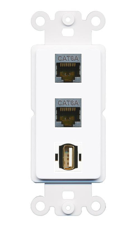2 CAT6A USB2 Wall Plate [White]