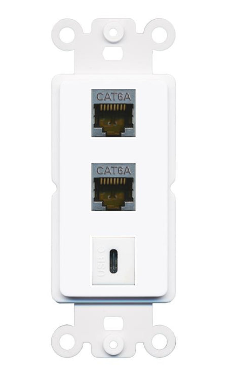 2 CAT6A USBC Wall Plate [White]