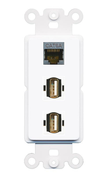 CAT6A 2 USB2 Wall Plate [White]