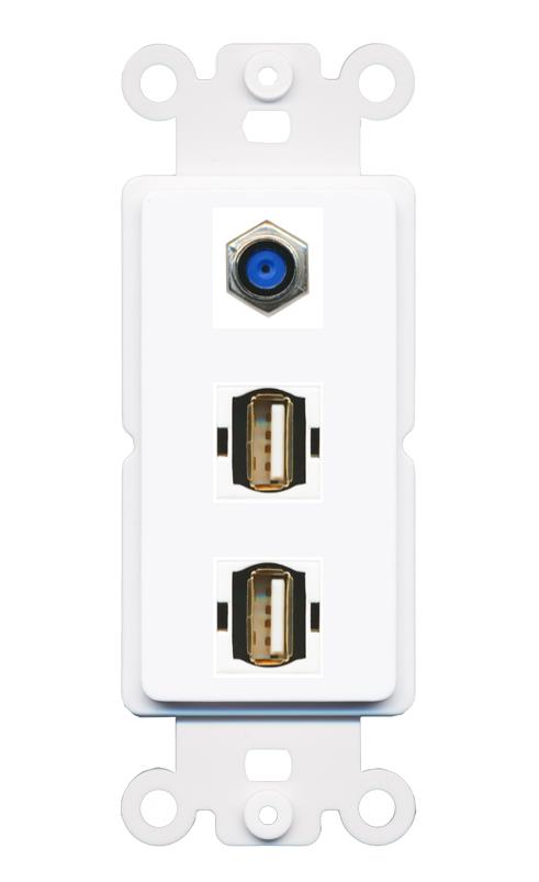 F81 2 USB2 Wall Plate [White]