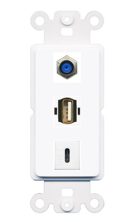 F81 USB2 USBC Wall Plate [White]
