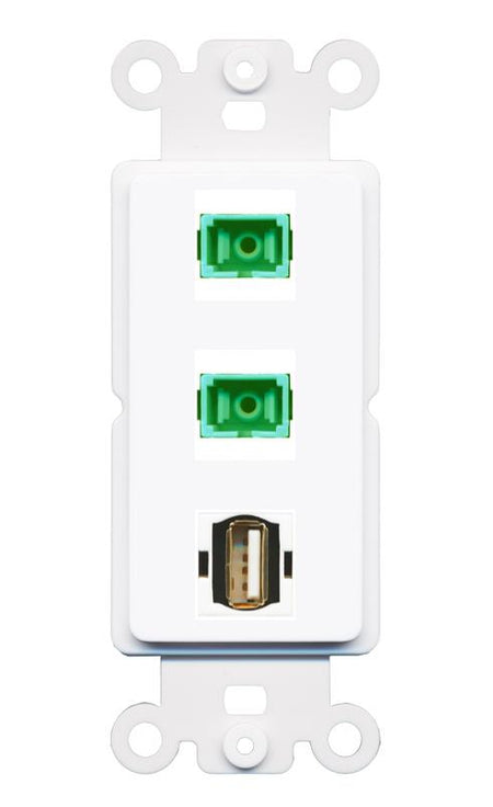 2 SC-APC-SX USB2 Wall Plate [White]