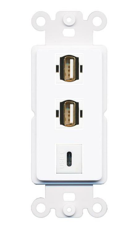 2 USB2 USBC Wall Plate [White]