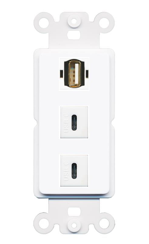 USB2 2 USBC Wall Plate [White]