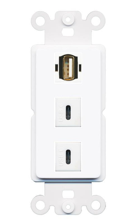 USB2 2 USBC Wall Plate [White]