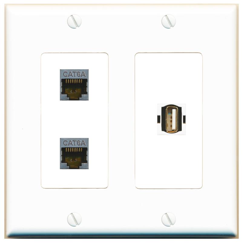 2 CAT6A USB2 Wall Plate [White]