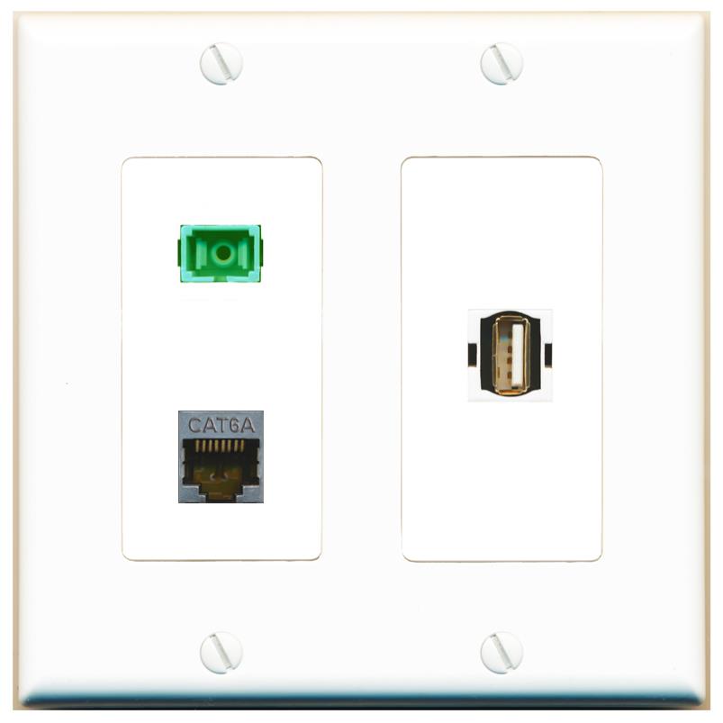 CAT6A SC-APC-SX USB2 Wall Plate [White]