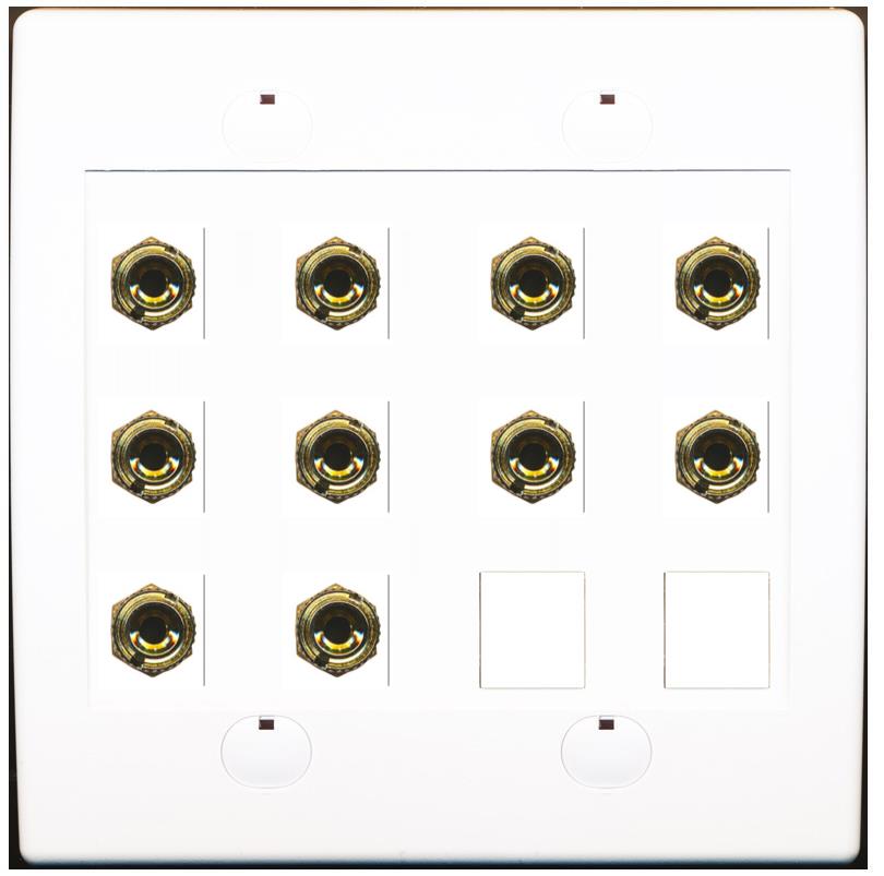 RiteAV 10 Banana 5 Speaker Surround 2G Coupler Binding Post Wall Plate 3 Pack