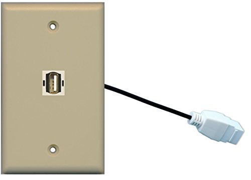 RiteAV (1 Gang Flat USB Wall Plate w/Female Pigtail Extension Cable Ivory