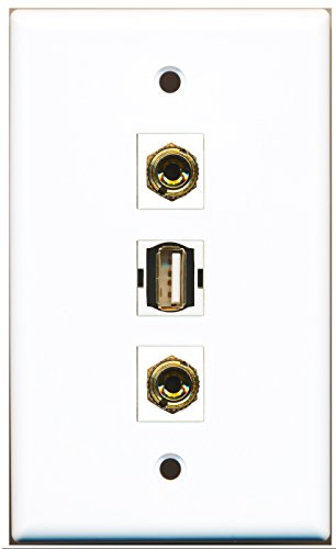 RiteAV - 1 Port USB A-A 2 Port Banana Speaker Wall Plate