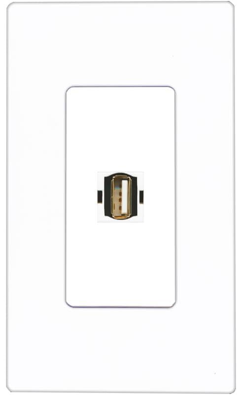 RiteAV USB2 Wall Plate Screwless [White]