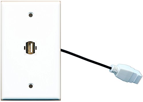 RiteAV (1 Gang Flat USB Wall Plate w/Female Pigtail Extension Cable White