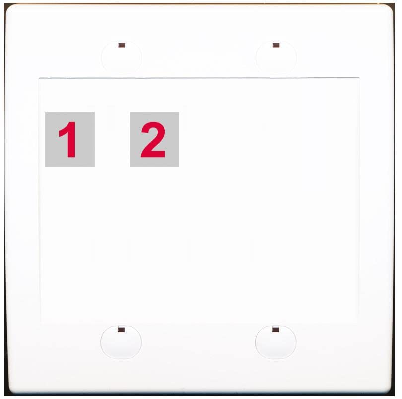 RiteAV Custom Wall Plate 2 Port - Flat 2 Gang [White/White]