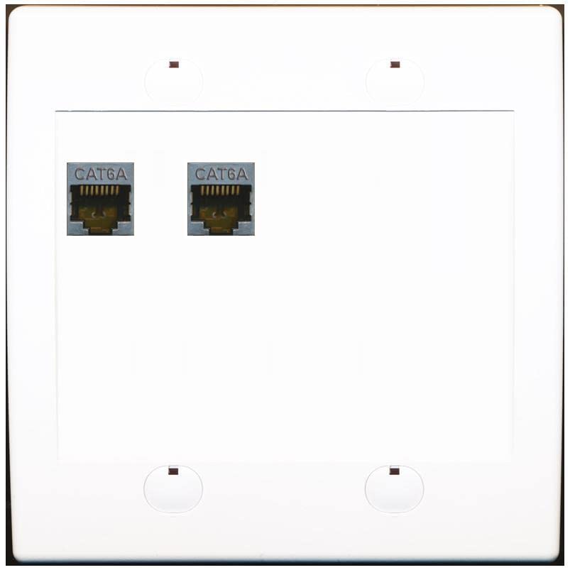 RiteAV 2 Port Cat6A Wall Plate - Flat 2 Gang [White/White]