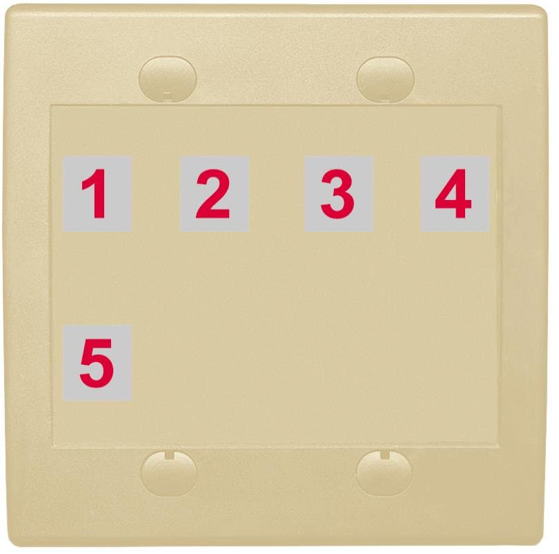 RiteAV Custom Wall Plate 5 Port - Flat 2 Gang [Ivory/Ivory]