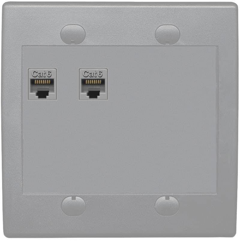 RiteAV 2 Port Cat6 Ethernet Wall Plate - Flat 2 Gang [Gray/Gray]