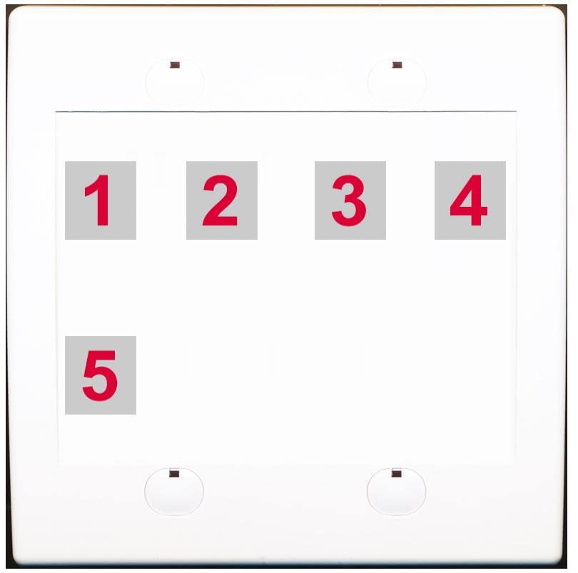 RiteAV Custom Wall Plate 5 Port - Flat 2 Gang [White/White]