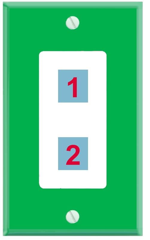 RiteAV Custom Wall Plate 2 Port - 1 Gang Decorative [Green/White]