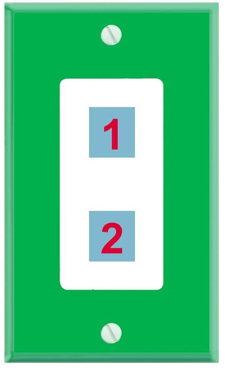 RiteAV Custom Wall Plate 2 Port - 1 Gang Decorative [Green/White]