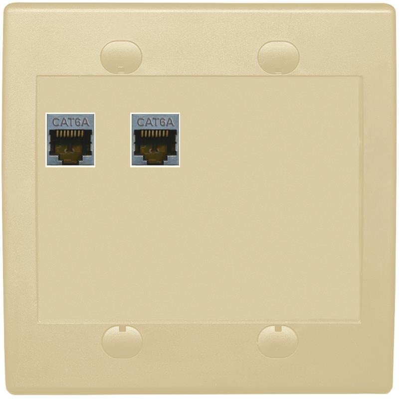 RiteAV 2 Port Cat6A Wall Plate - Flat 2 Gang [Ivory/Ivory]
