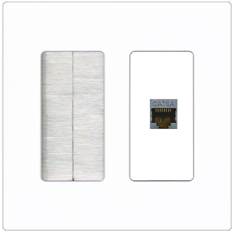 RiteAV 1 Port Cat6A Wall Plate - Brush [Screwless White]