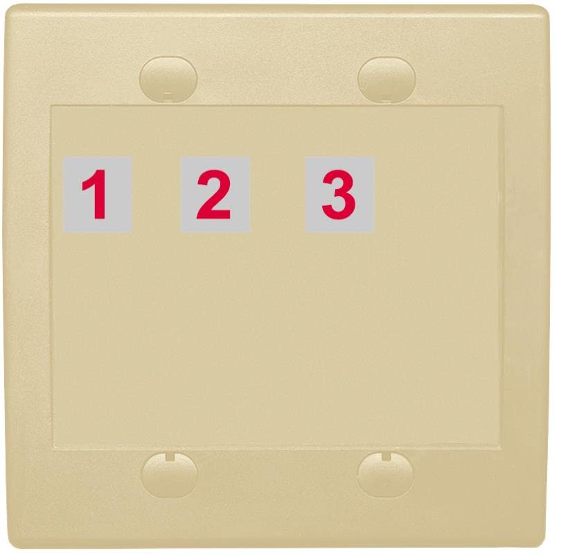 RiteAV Custom Wall Plate 3 Port - Flat 2 Gang [Ivory/Ivory]