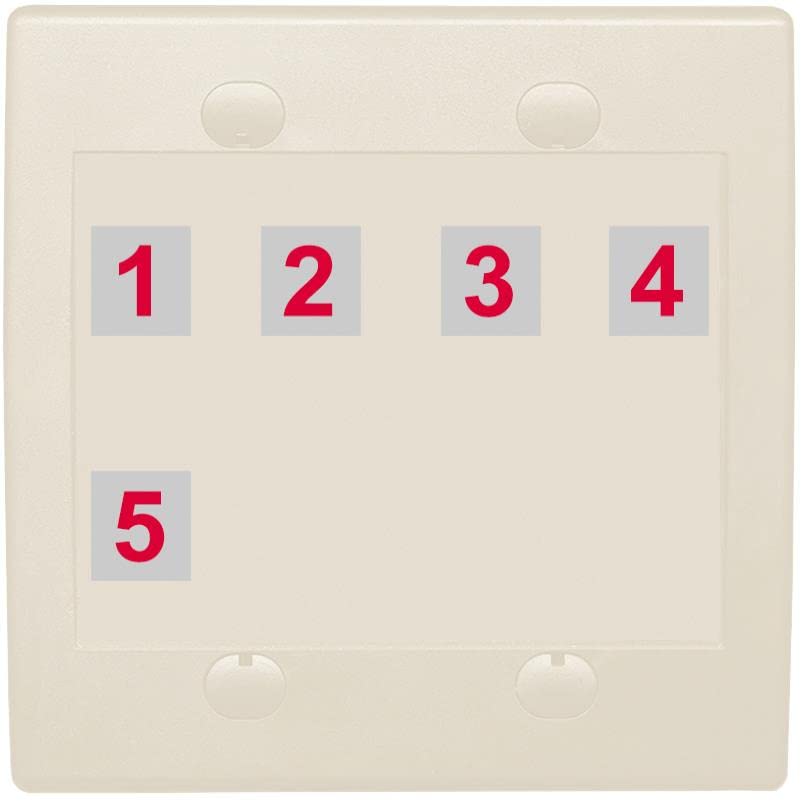 RiteAV Custom Wall Plate 5 Port - Flat 2 Gang [Light Almond]