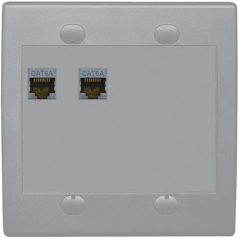 RiteAV 2 Port Cat6A Wall Plate - Flat 2 Gang [Gray/Gray]
