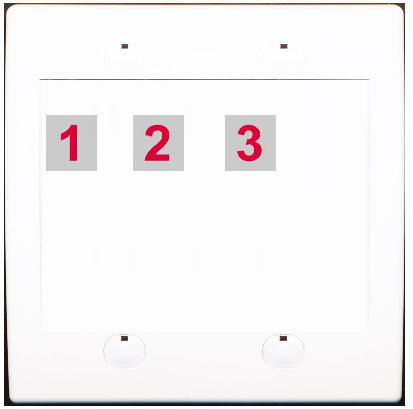 RiteAV Custom Wall Plate 3 Port - Flat 2 Gang [White/White]