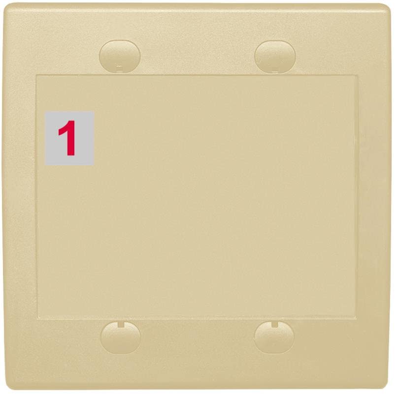 RiteAV Custom Wall Plate 1 Port - Flat 2 Gang [Ivory/Ivory]