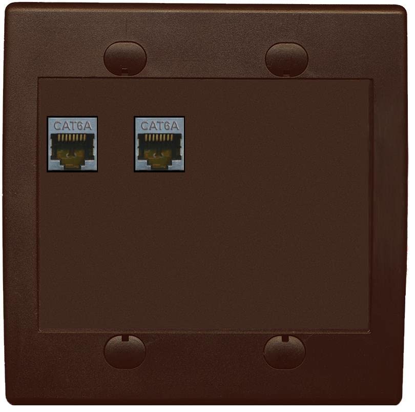 RiteAV 2 Port Cat6A Wall Plate - Flat 2 Gang [Brown/Brown]