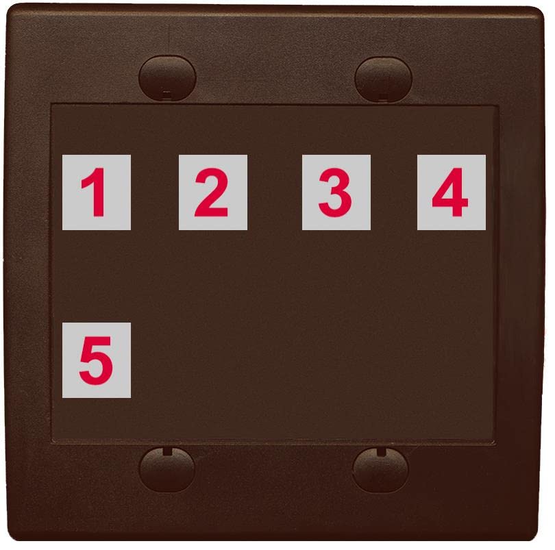 RiteAV Custom Wall Plate 5 Port - Flat 2 Gang [Brown/Brown]