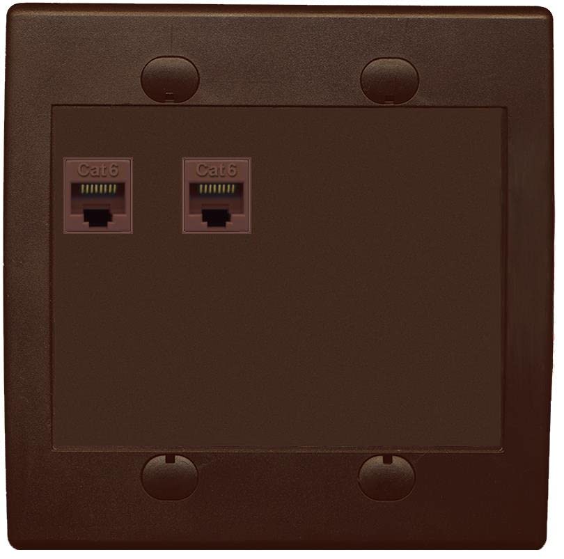 RiteAV 2 Port Cat6 Ethernet Wall Plate - Flat 2 Gang [Brown/Brown]