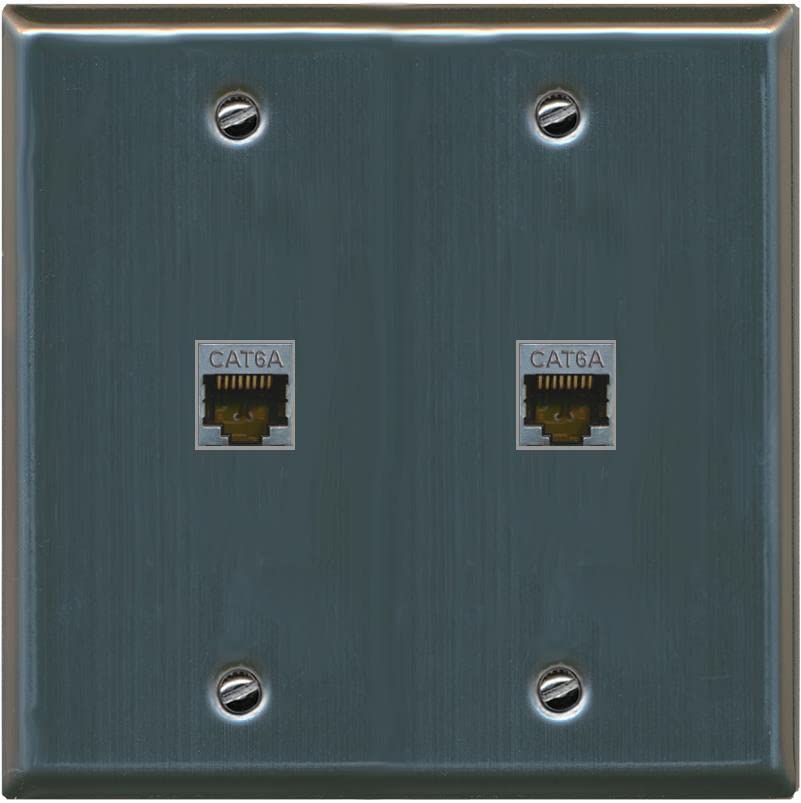 RiteAV 2 Port Cat6A Wall Plate - Flat 2 Gang [Stainless Steel]