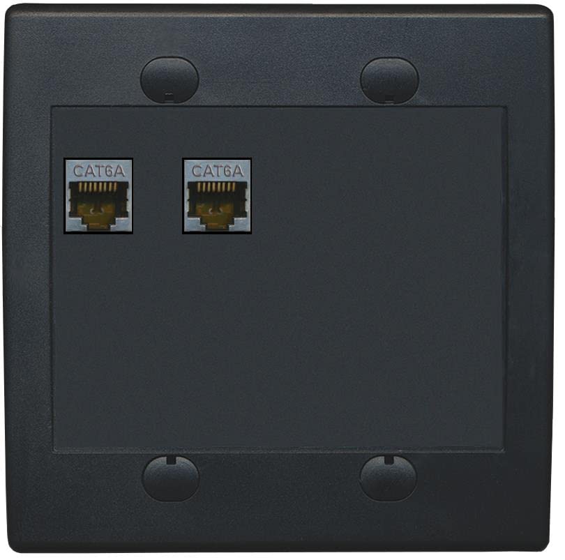 RiteAV 2 Port Cat6A Wall Plate - Flat 2 Gang [Black/Black]