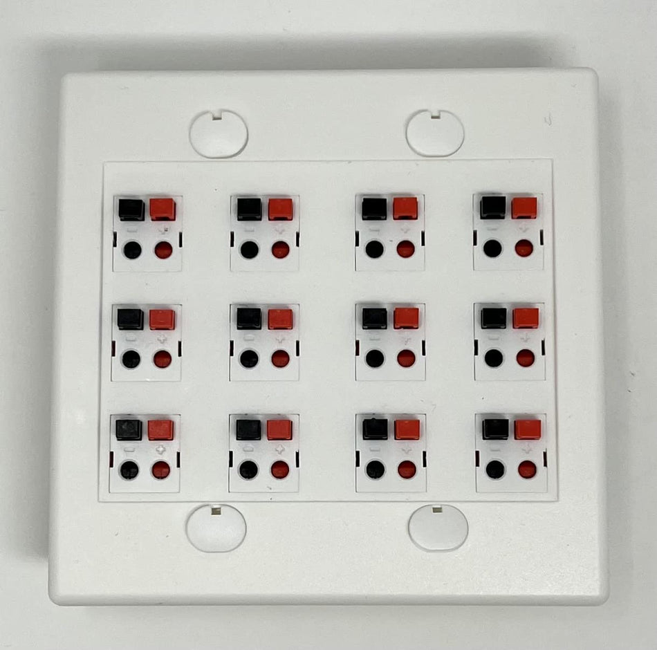 RiteAV 12 Port Speaker Jack Dual Gang Wall Plate for Home Theater - White