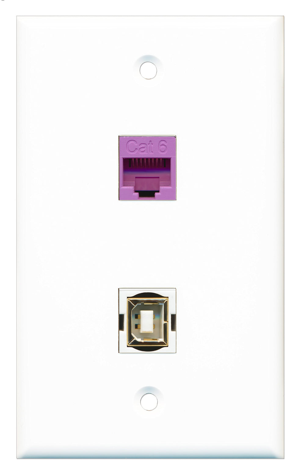 RiteAV - 1 Port Cat6 Ethernet Purple 1 Port USB B-B Wall Plate - Bracket Included